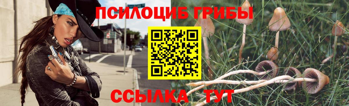 Галлюциногенные грибы Psilocybine cubensis  Вход с VPN  Губкинский 